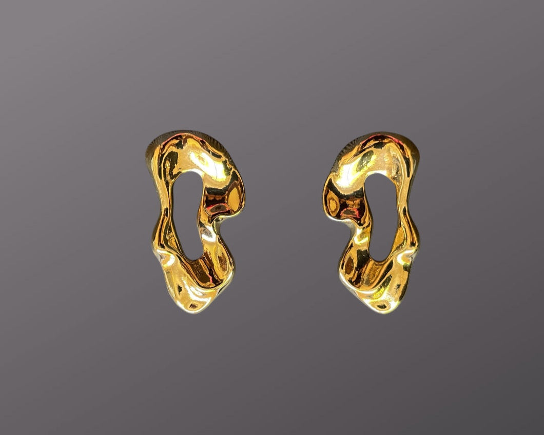 Fashion earrings